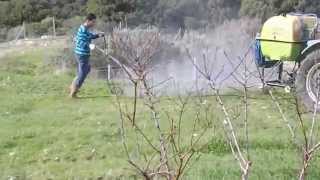 Karaburun Badem Bahçesi Bakım Çalışmaları