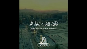استوريات قرآن بصوت القارئ زيد الدليمي