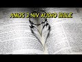 AMOS 3 NIV AUDIO BIBLE With Text