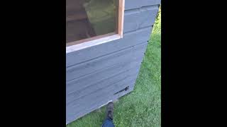 IMG 4438