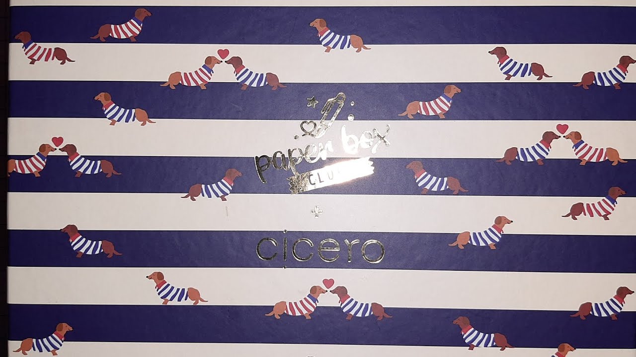 Unboxing Paper Box Clube Laranja Lima Edição Cícero