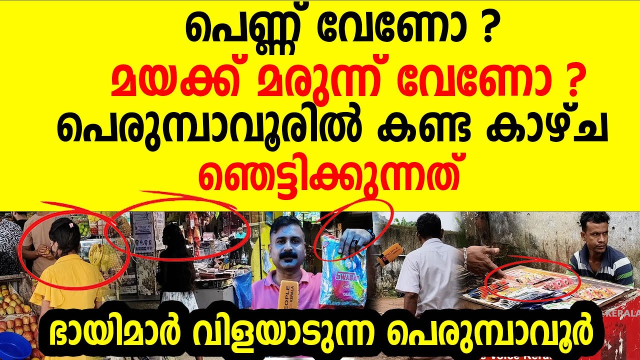 പെണ്ണ് വേണോ മയക്ക് മരുന്ന് വേണോ കണ്ട കാഴ്ച ഞെട്ടിക്കുന്നത് ഭായിമാർ വിളയാടുന്ന | perumbavoor racket