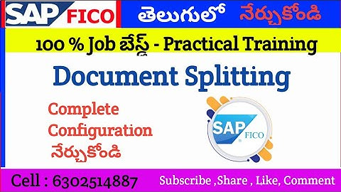 Document Splitting Overview and Configuration  in SAP FICO Telugu | Advanced Concept | - Lokesh