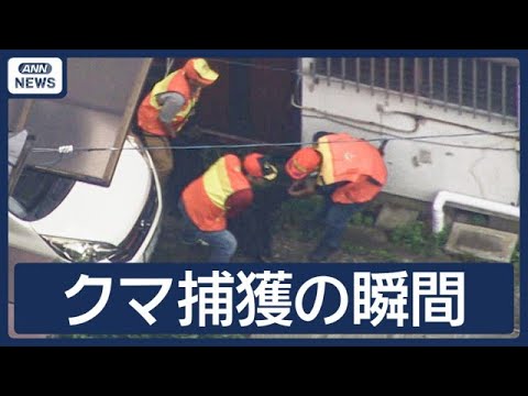 Moment of Capture] Bear flees into residential property