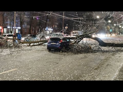 Лед На Проводах И Деревьях. Жители Ростовской Области Остались Без Света После Ледяного Дождя