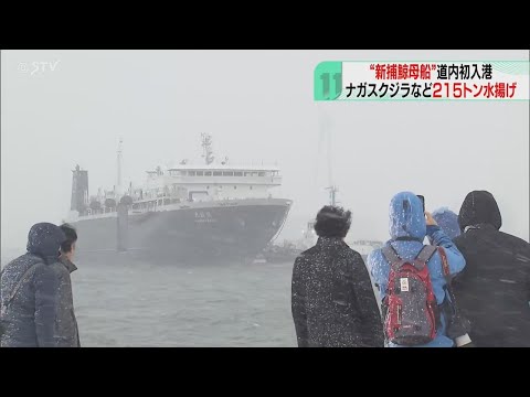 W．RUSSELL FINT（W.ラッセル　フリント）、海辺の漁師の娘 Tough] A close look at the guy who's working closely with