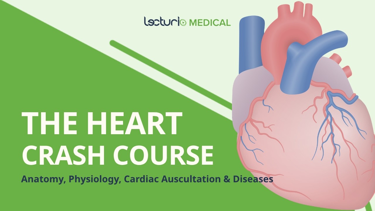 The Heart Masterclass | USMLE Cardiology Review
