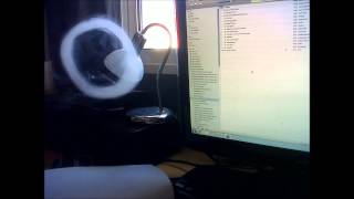 Apex - String Theory