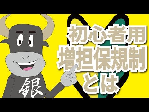増担保規制とは【銀ちゃんの投資の勉強】