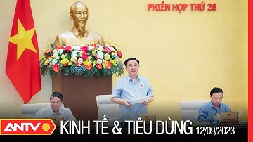 Bản tin kinh tế và tiêu dùng ngày 12/9:Chủ tịch Quốc hội đề nghị họp báo công khai kết quả kiểm toán
