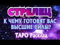 СТРЕЛЕЦ 🧚‍♀️🧚‍♀️🧚‍♀️♐ К ЧЕМУ ГОТОВЯТ ВАС ВЫСШИЕ СИЛЫ Таро Расклад гадание онлайн