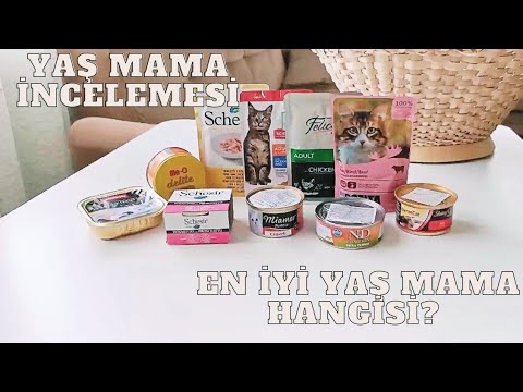 Video: Kedi Maması Analizi: Bileşimlerinin Karşılaştırılması, Hangi Kuru Ve ıslak Mamanın Yapıldığı, Bileşenlerin Analizörü (kül, Koruyucular Vb.)