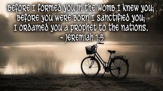 Daily devotion. (05/11/2026)