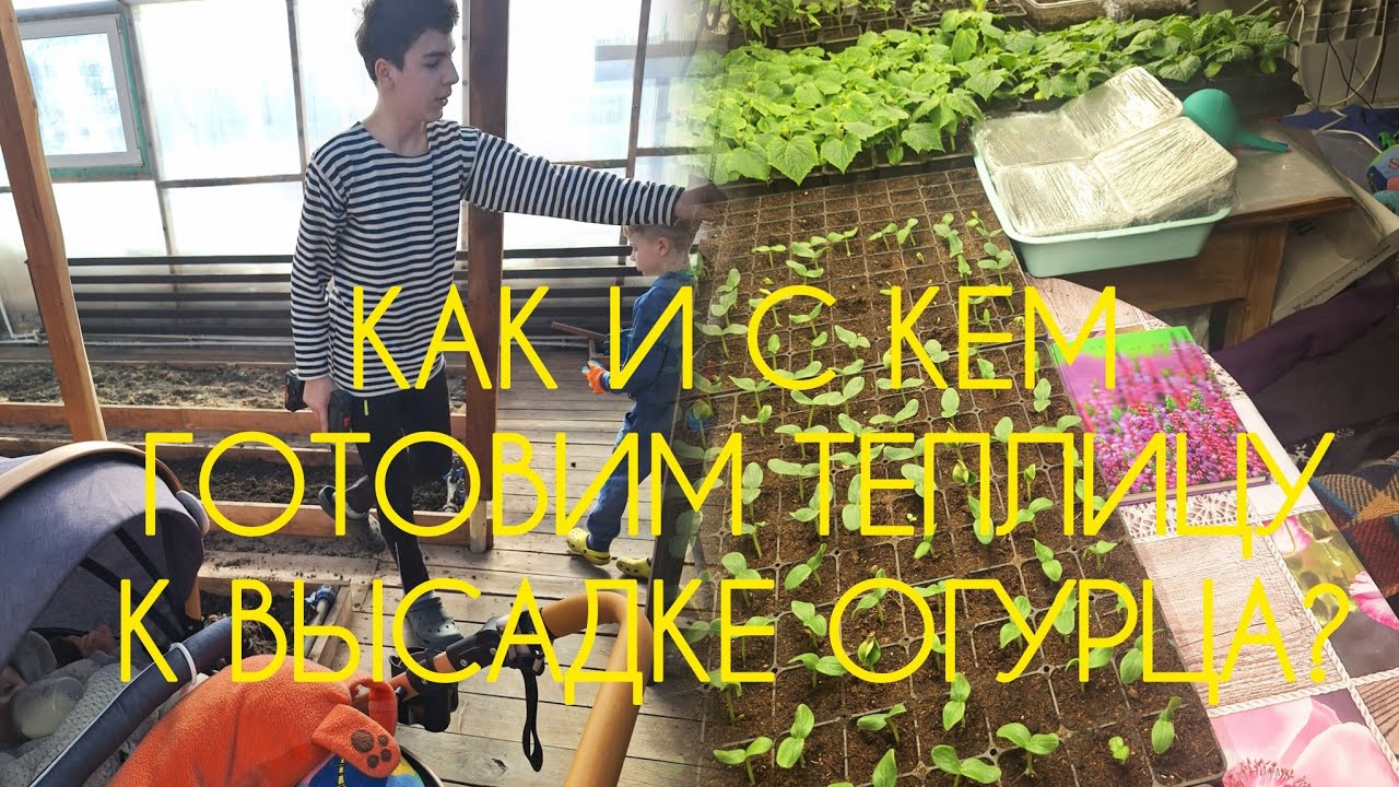 Подготовка отапливаемой теплицы и посевные в самом разгаре. 