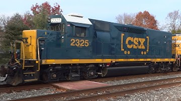 Freshly Painted Mother Slug Set In St Denis