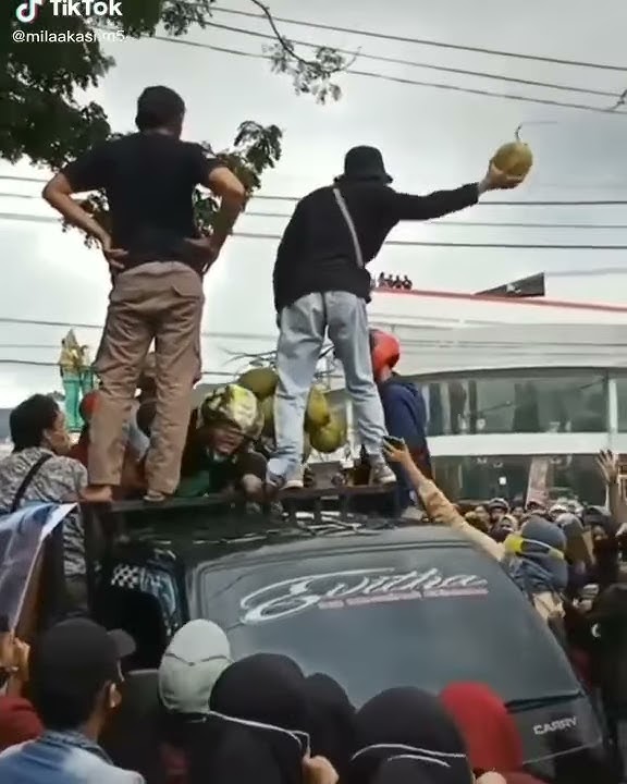 status WA lucu terbaru ngakak untung pakai helm dah tuh kepala
