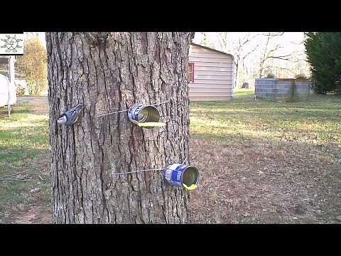 Some Talon-Style Can Bird Feeders