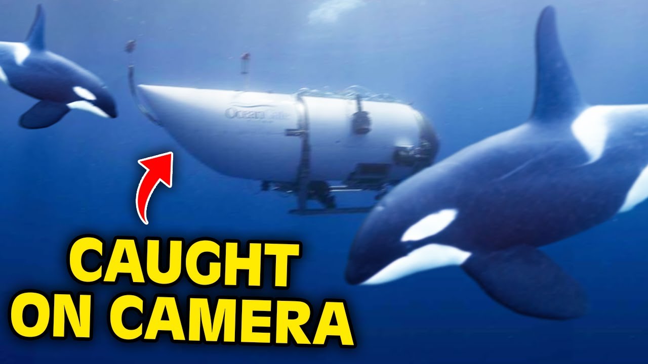 Canada SUES Taylor Swift, Nicki Minaj's Neighbor's PETITION, Killer Whales CAUSED Titan Implosion?