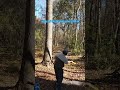 disc golfing in the woods #foryou #fyp #flyingdisc #discgolf #hobbies