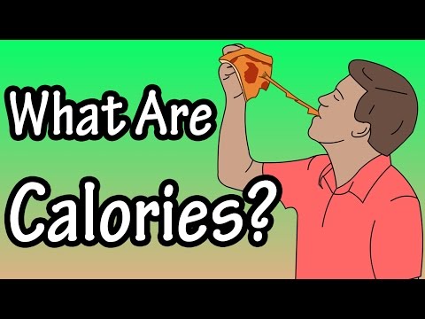 What Is A Calorie - How Many Calories Per Day For Men And Women - Calories In Vs Calories Out