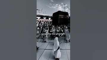 القارئ :مشاري راشد العفاسي [] سورة الاحزاب [] الآيه : {56}🌹🤍