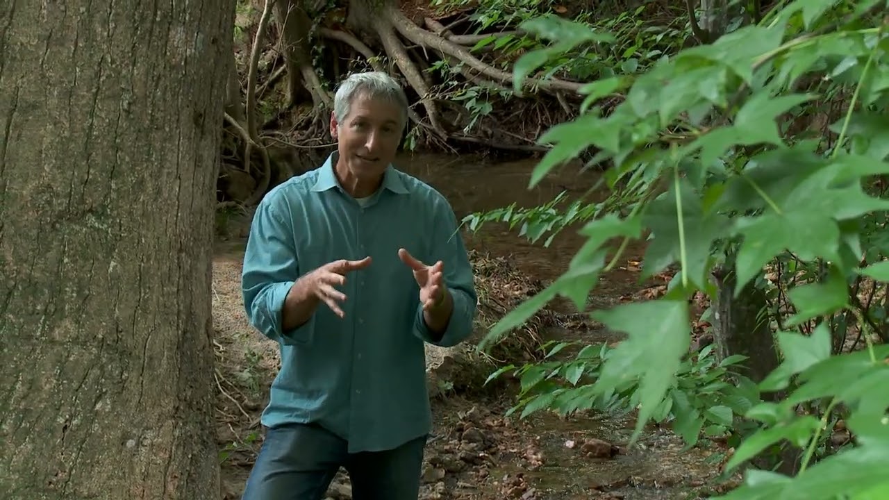 Growing a Greener World Episode 314 - Moss Gardens