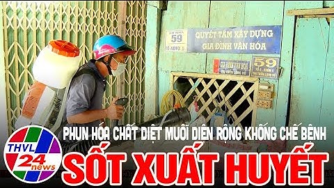 Dịch vụ phun hóa chất diệt muỗi sốt xuất huyết năm 2024