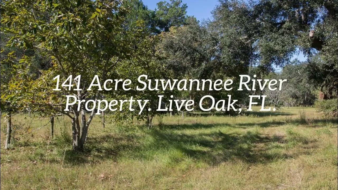 Suwannee River Property For Sale. 141 Acres near Live Oak, FL YouTube