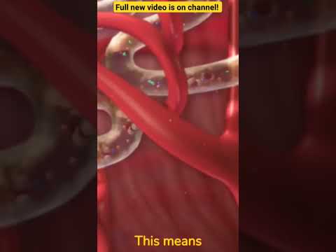 Vasopressine / ADH