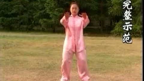 Tai Chi Chuan Yang style: form 16 (stile Yang: la forma 16)
