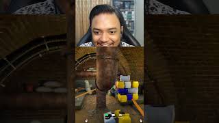 চোখের সামনে ছিলাম, তাও কেউ খুঁজে পেল না 😂  | Part 4 |  MECCHA CHAMELEON BANGLA GAMEPLAY |  OONETA