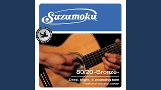 suzumoku - 盲者の旅路