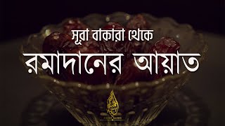 Beautiful Quran Tilawat Surah Baqarah 183-187 | Ayah Of Ramadan | সূরা আল বাকারা। Sheikh Masud