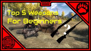 theHunter Classic - Top 5 Weapons for Beginners [2022]