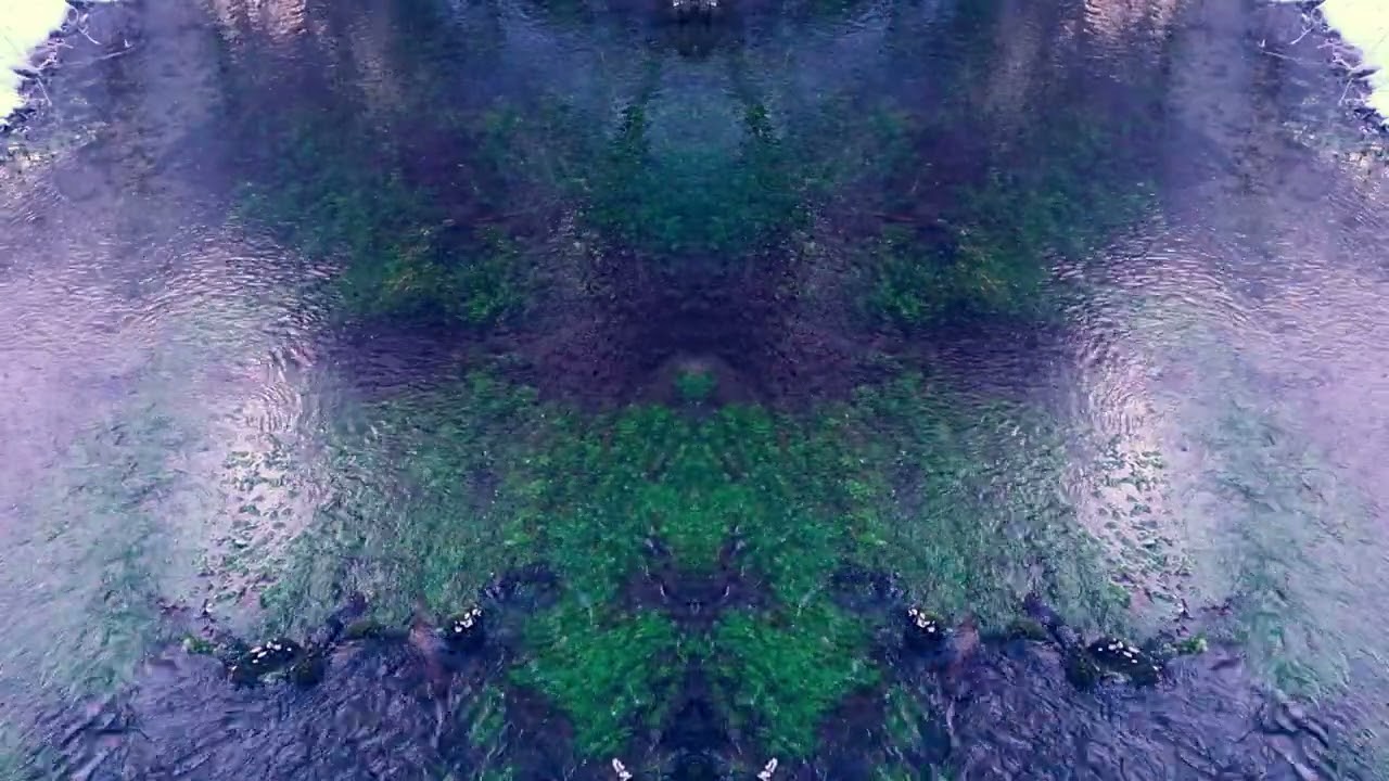 Bonobo on ice [Tribute to Bonobo - No Reason] [Epilepsy warning] [4K]