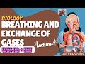 BIOLOGY L1- BREATHING AND EXCHANGE OF GASES  ENLIGHT BATCH NEET 11 PCB ELITE ACADEMY
