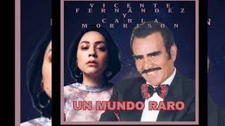 UN MUNDO RARO VICENTE FERNÁNDEZ Y CARLA MORRISON