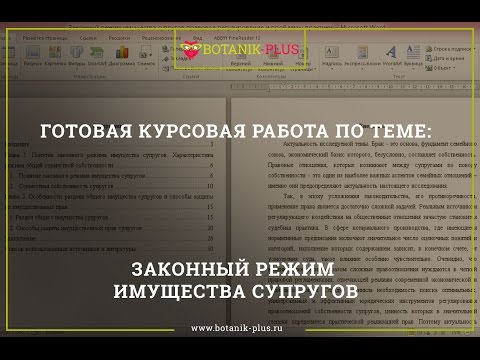 Дипломная работа: Особенности договорного режима имущества супругов