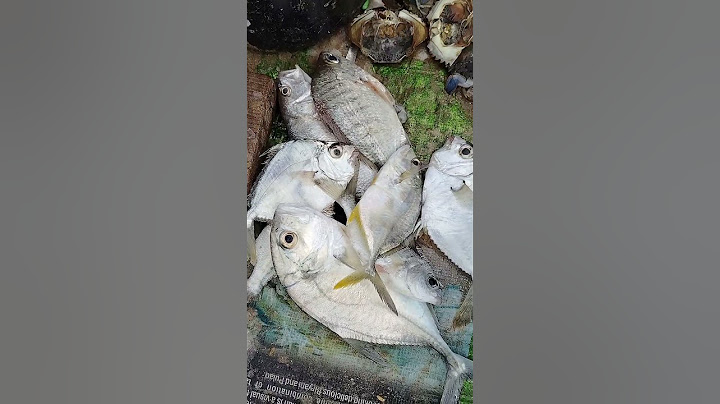 People, Rama and Lakshmi Patti were cutting fish #thoothukudimeenavarponnu #fishing