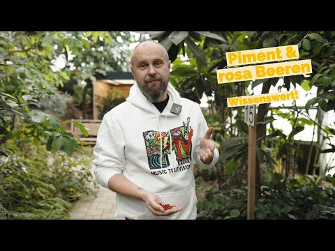 Video: Was ist Piment Beeren?