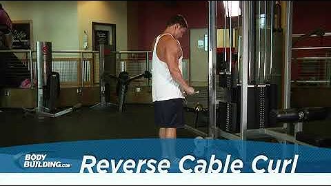 Reverse Cable Curl   Exercise Videos & Guides   Bodybuilding com