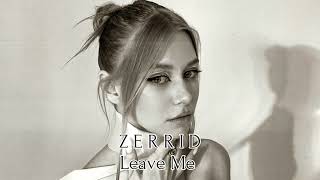 Zerrid - Leave Me (Original Mix)