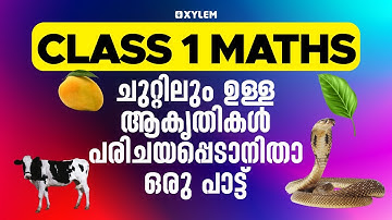 Class 1 Maths | ചുറ്റിലും ഉള്ള ആകൃതികൾ പരിചയപ്പെടാനിതാ ഒരു പാട്ട് | Xylem Class 1