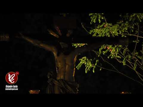 Real, Ilustre, Antigua, Fervorosa y Franciscana Hermandad Sacramental y Cofradía de Nazarenos del Santo Sudario de Nuestro Señor Jesucristo, Santísimo Cristo del Buen Fin, Nuestra Señora de la Palma Coronada, San Francisco de Asís y San Antonio de Padua