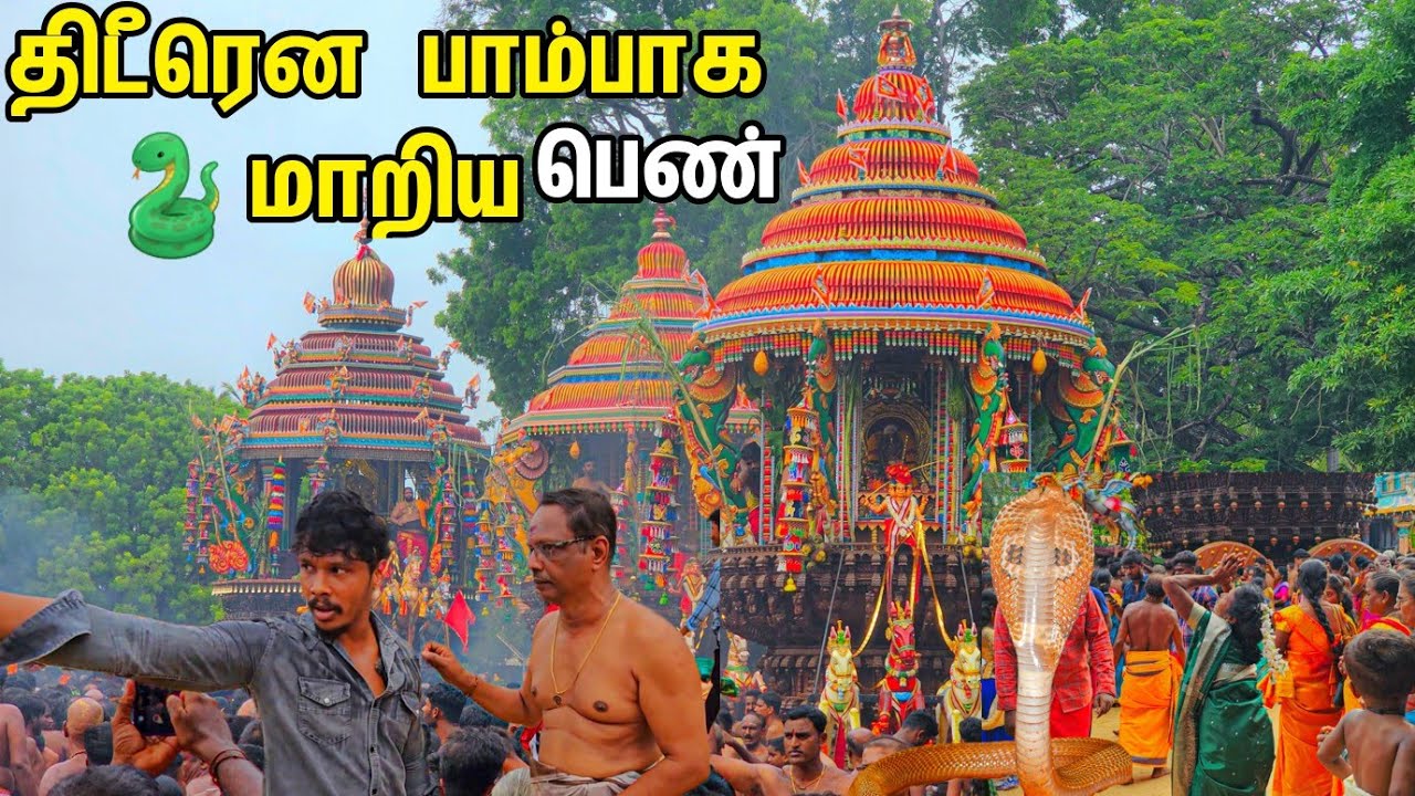 நயினாதீவு தேர் திருவிழாவில்  திடிரென பாம்பாக மாறிய😱 பெண்  Snake Girl / Tamil Bros