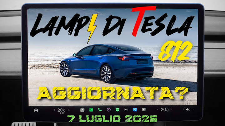 Aggiornamento Model 3 e Model Y in Cina, smentita la foto di Model Y Performance⚡️Lampi di Tesla 812