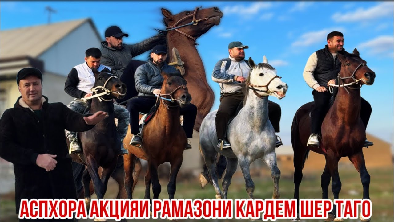 Нохияи Спитомен аспхои Шерзодака акция Рамазони 21 февраля 2026 г.