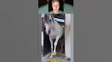 September 1 2025 