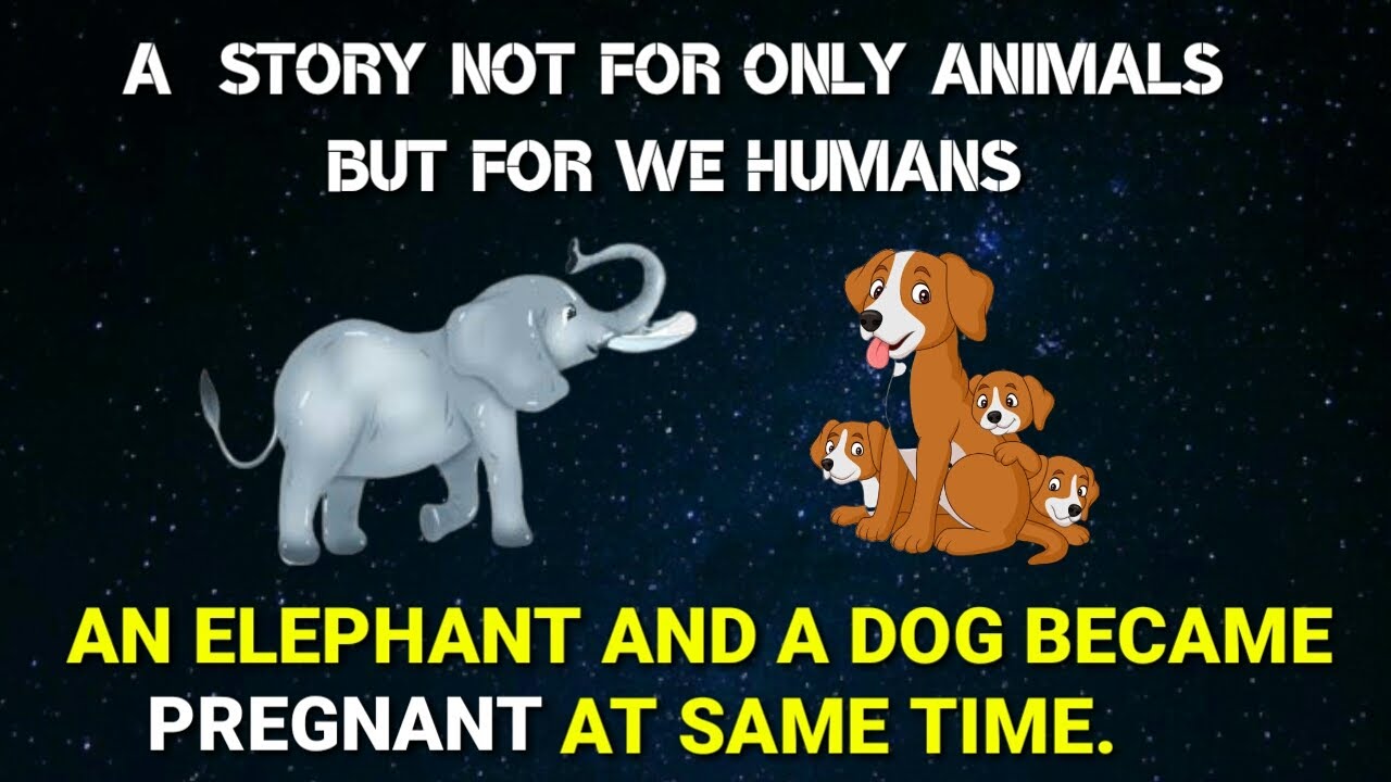 An Elephant And A Dog || An inspiring Story || English Subtitles ...