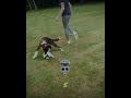 BEST FOOTBALL SKILLS & GOALS 🔥